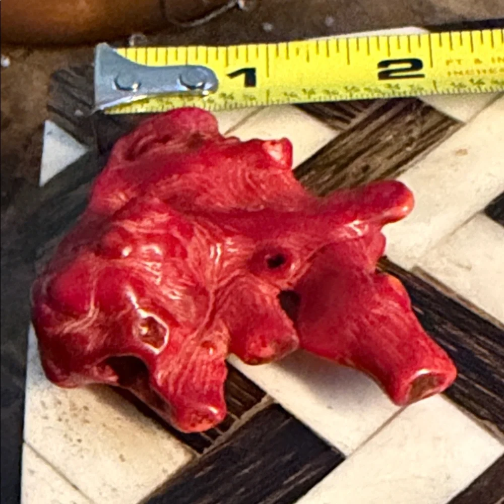 Red coral piece for Jewelry project I have had this for forty years